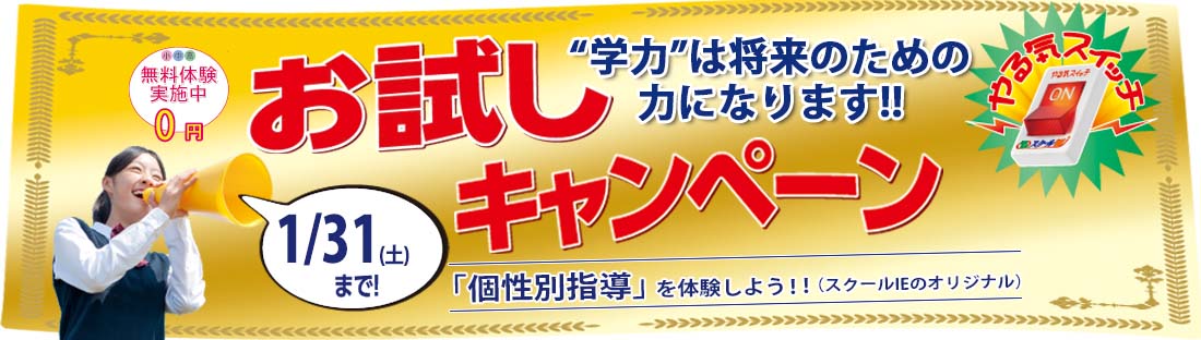 お試しキャンペーン